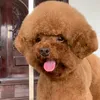 .kim068