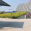 ntxoo.vng324
