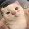 tiffanywhims1