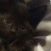 maisy2_009