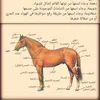يحيى