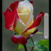 user9334971836563