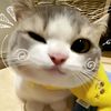 tyaaa_1020