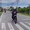 pareccu_crf