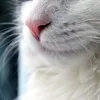 alexandrarusu256