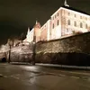 viktoras.radavici