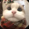 thhuong21