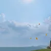 muaheh0