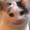 cani4me_