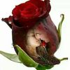user1022736276148