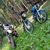 user6157740362188