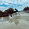 aaronelguay