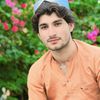 hamariwazir