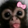 user141472845