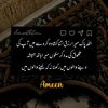 tarar0333