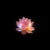 verymindfulverydemure3