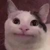 john_paultiktok