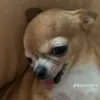 janncalvin4