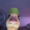 nvcnxnourewmannz