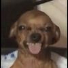 Milow