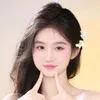 p_linh5609