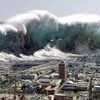 Disaster 🌎🌪🌊⚡
