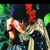 noha6528