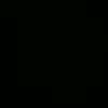 nn_pp55
