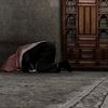 alaa71442