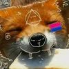silly_fox1
