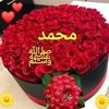 user83388309226070