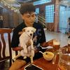 phyulong1