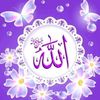user29617192257854