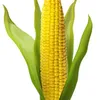 pannochia