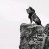 ibrahim_874_