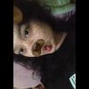 keysanaira4