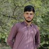 ZulQarnain Zeran PCR