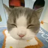 ggg.uyy7.com