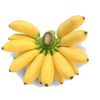 pisang.emas8