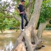 niyengofical123