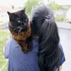 kimi72872