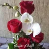 ubaid_ubaid_