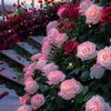 user197911093490