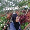 meri.nurul.anggraini