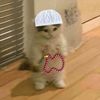 zeynepinizz123