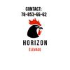 Horizon Élevage