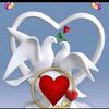 abdoelsalam012114