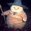 wizardcatatdajungle