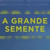 A grande Semente