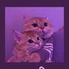 sassy_2.5